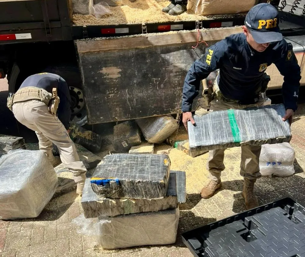 PRF apreende 2,6 toneladas de maconha escondidas em carga de maravalha na BR-277, em Cascave